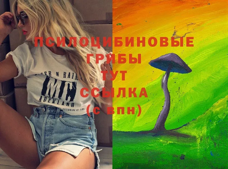 Псилоцибиновые грибы Magic Shrooms  Кущёвская 